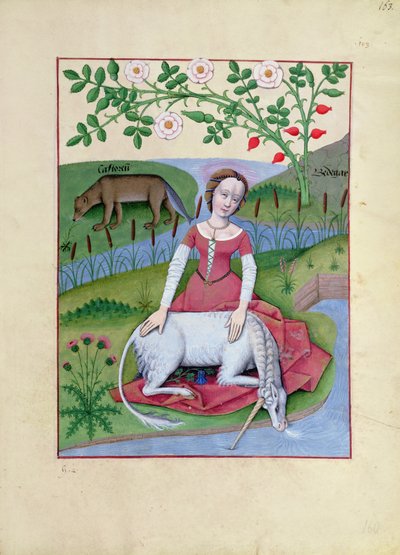 Ms Fr. Fv VI fol.163r Illustration aus dem Buch der einfachen Heilmittel von Mattheaus Platearius von Robinet Testard